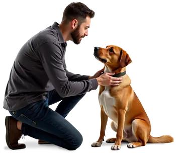 A man kneels and gently holds a brown dog's neck, gazing at the dog with a caring expression. Their calm interaction highlights the positive impact of relationships on well-being, as both appear relaxed and affectionate.